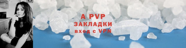 PSILOCYBIN Аркадак