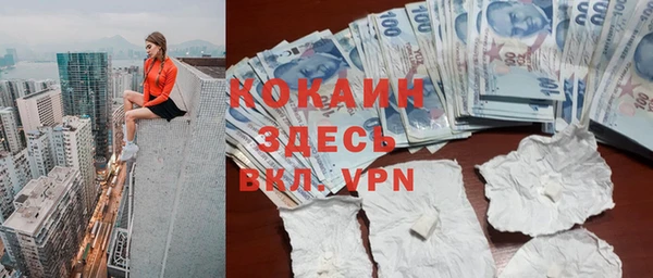 тгк Новозыбков