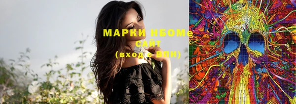тгк Новозыбков