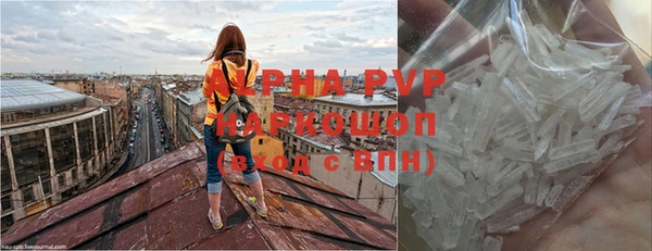 тгк Новозыбков