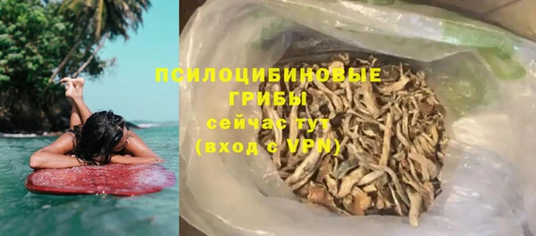 PSILOCYBIN Аркадак