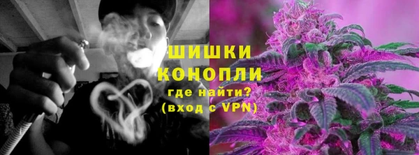PSILOCYBIN Аркадак