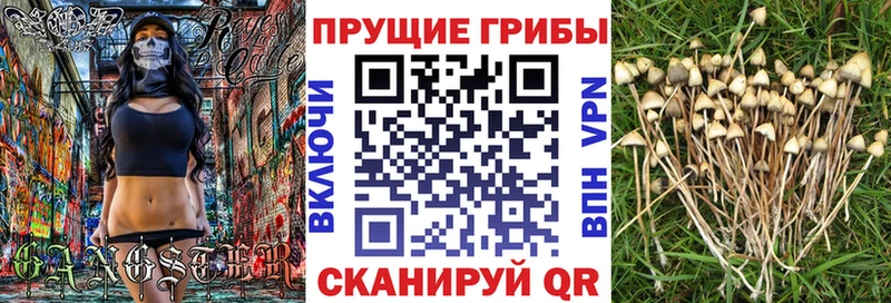Псилоцибиновые грибы GOLDEN TEACHER  Серафимович 