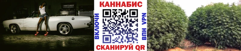 где найти наркотики  Серафимович  Конопля OG Kush 